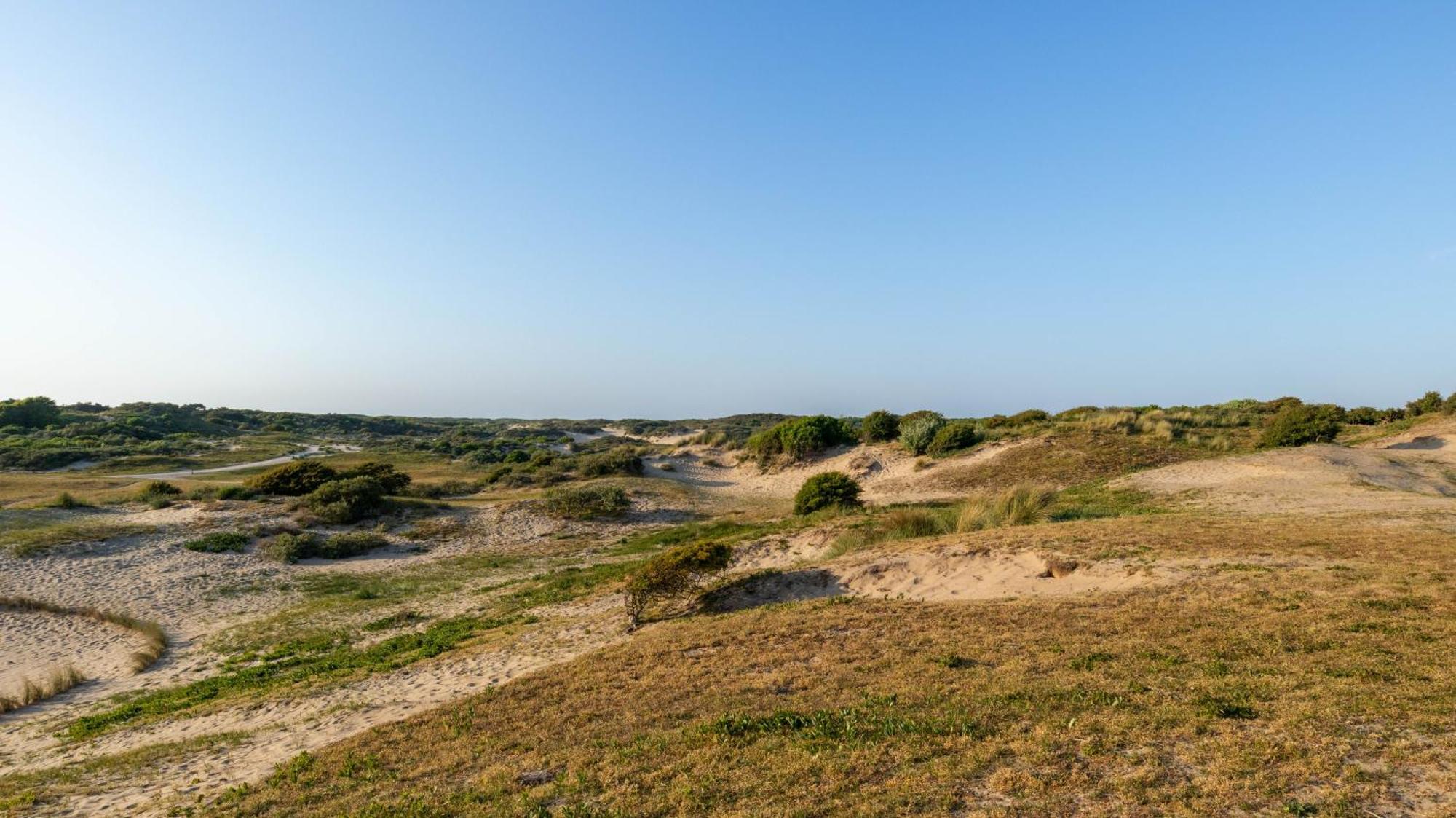 Beach Lodge 24 - Noordwijk Aan Zee - Met Eigen Tuin Екстериор снимка