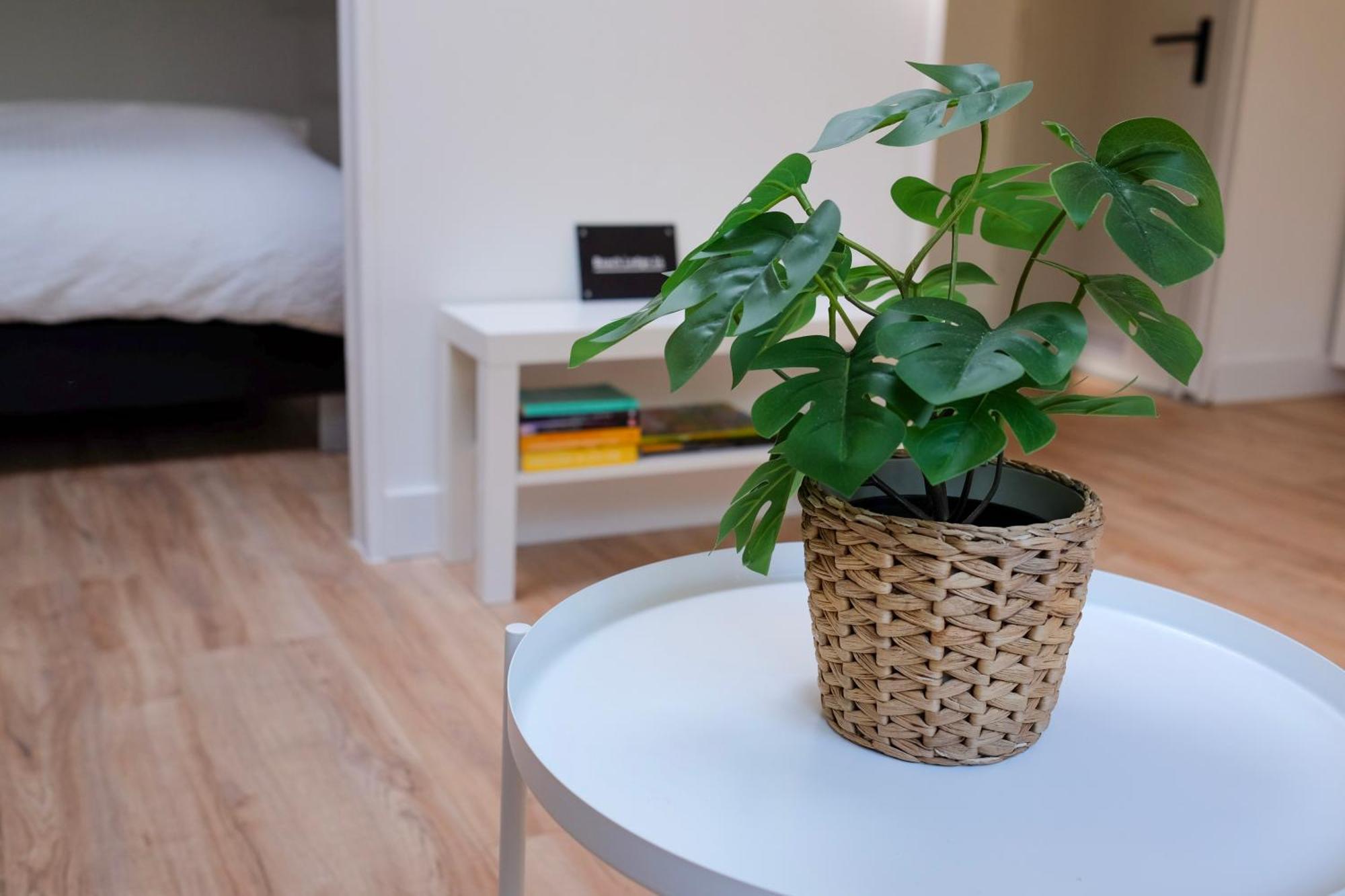 Beach Lodge 24 - Noordwijk Aan Zee - Met Eigen Tuin Екстериор снимка